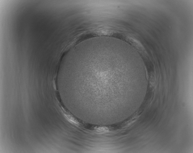 X0000071350409200606301657