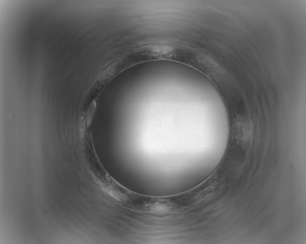 X0000071350412200606301657