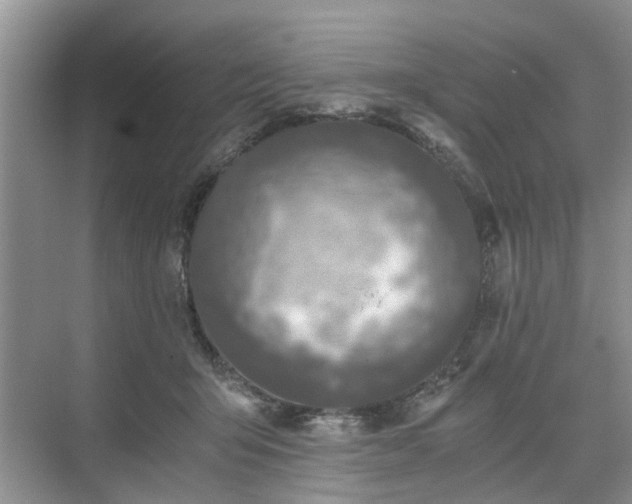 X0000071350415200606301657