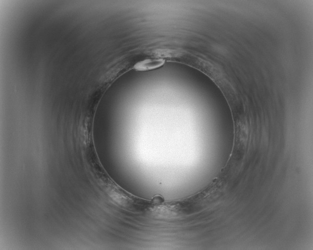 X0000071350422200606301657