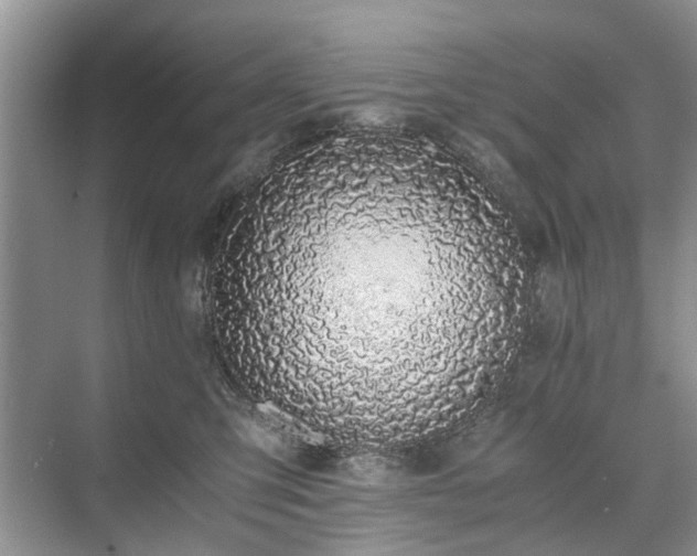 X0000071350423200606301657