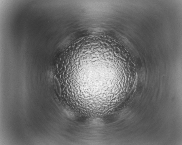 X0000071350427200606301657