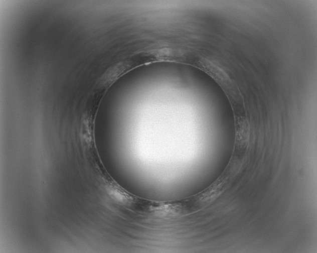 X0000071350430200606301657