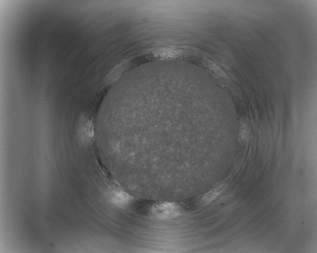 X0000071350431200606301657