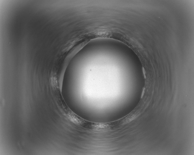 X0000071350432200606301657