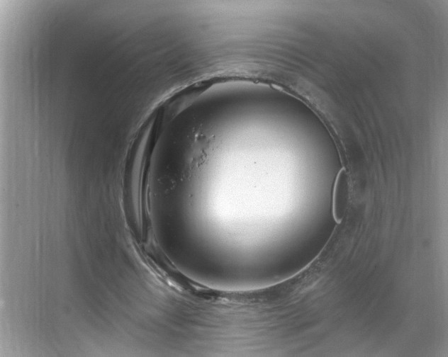 X0000071350434200606301656