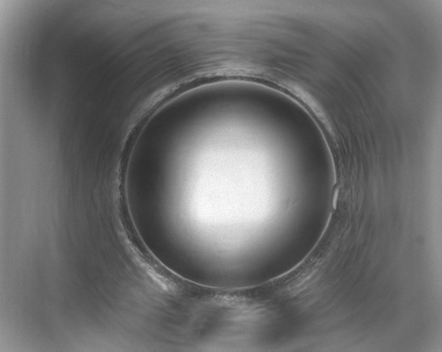 X0000071350437200606301656