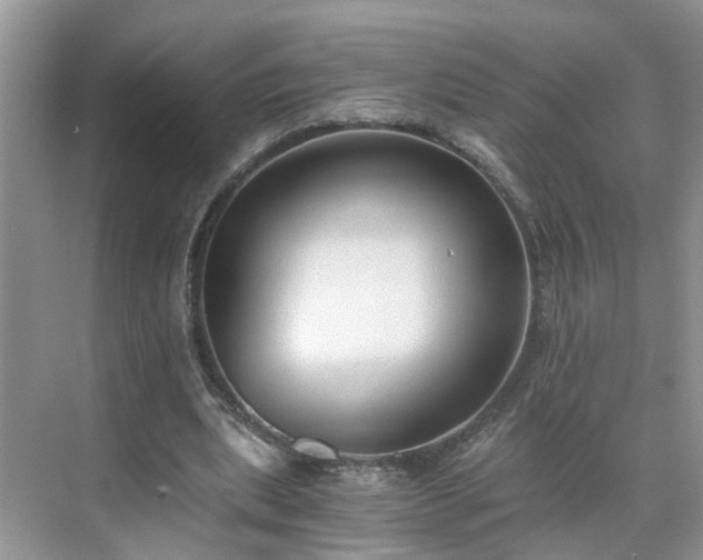 X0000071350439200606301656