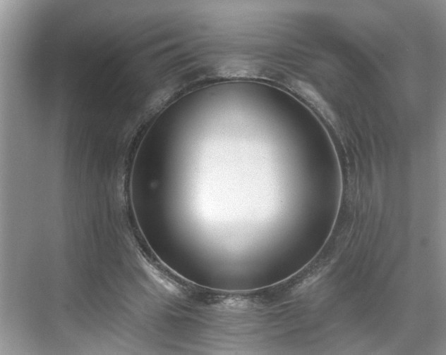 X0000071350441200606301656