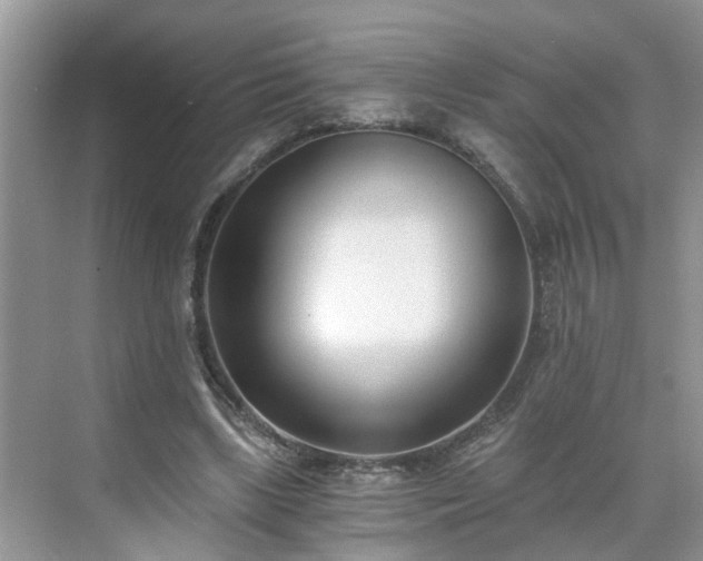 X0000071350443200606301656