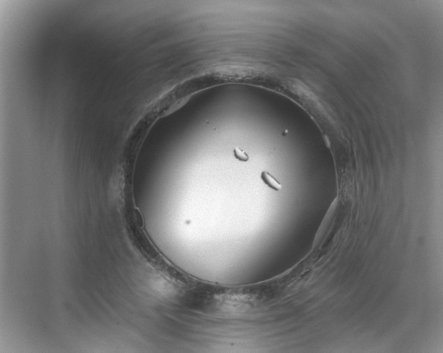 X0000071350448200606301656