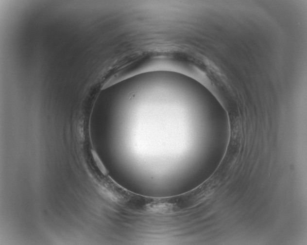 X0000071350452200606301656