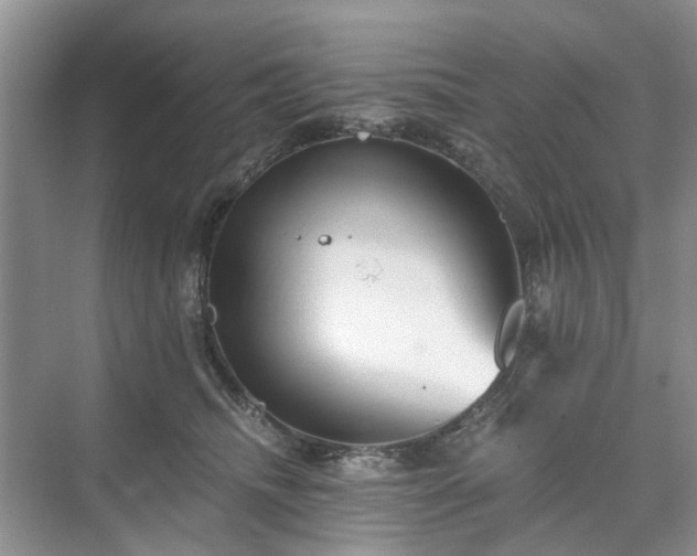 X0000071350468200606301657