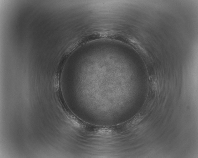 X0000071350471200606301657