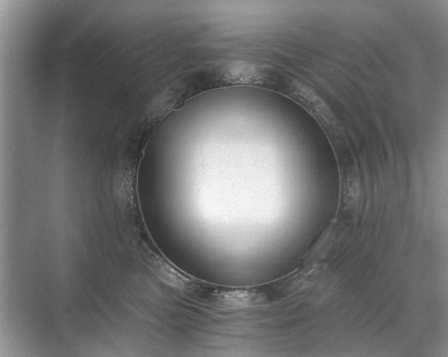 X0000071350473200606301657