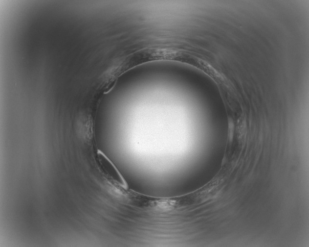 X0000071350474200606301657