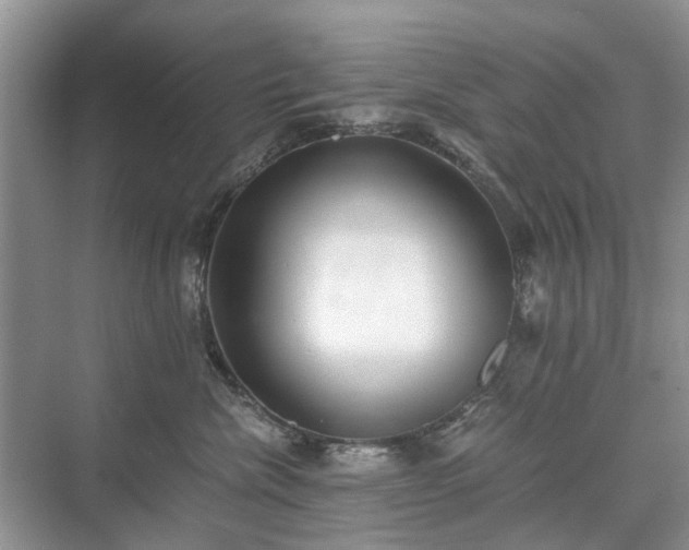 X0000071350476200606301657