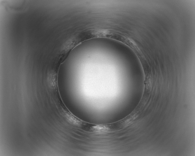 X0000071350477200606301657