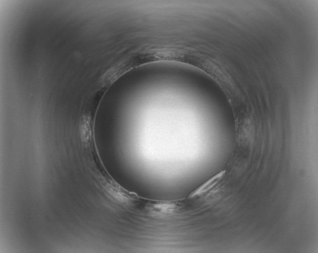 X0000071350478200606301657