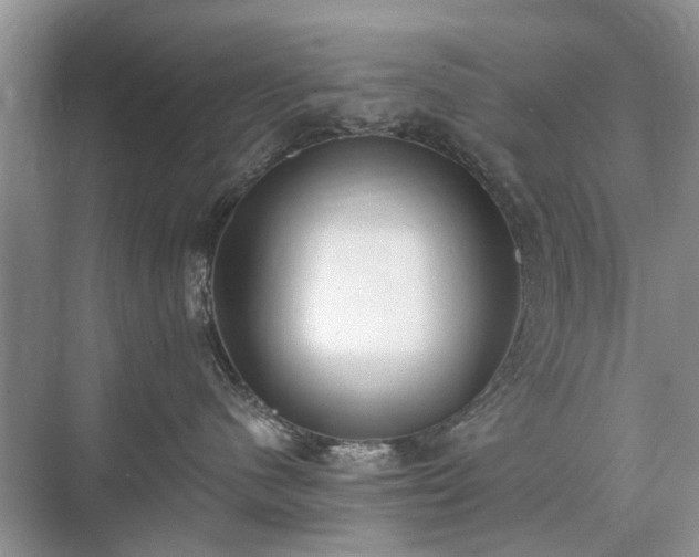 X0000071350480200606301657