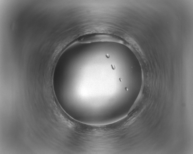 X0000071350481200606301656