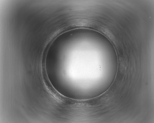 X0000071350482200606301656