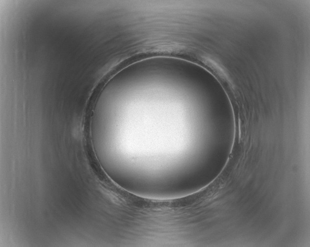 X0000071350483200606301656