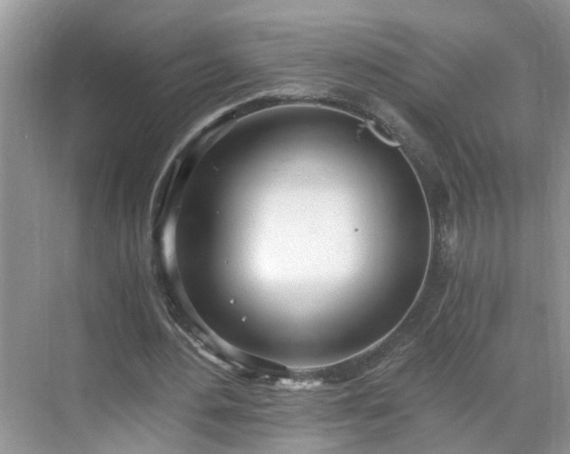 X0000071350484200606301656