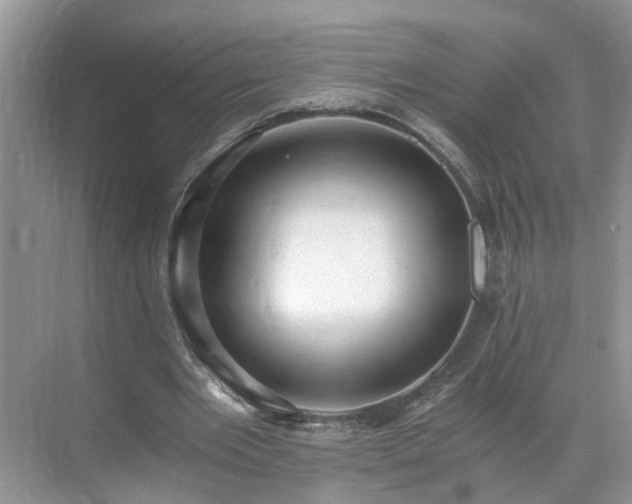 X0000071350485200606301656