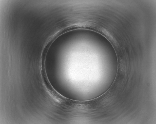 X0000071350486200606301656