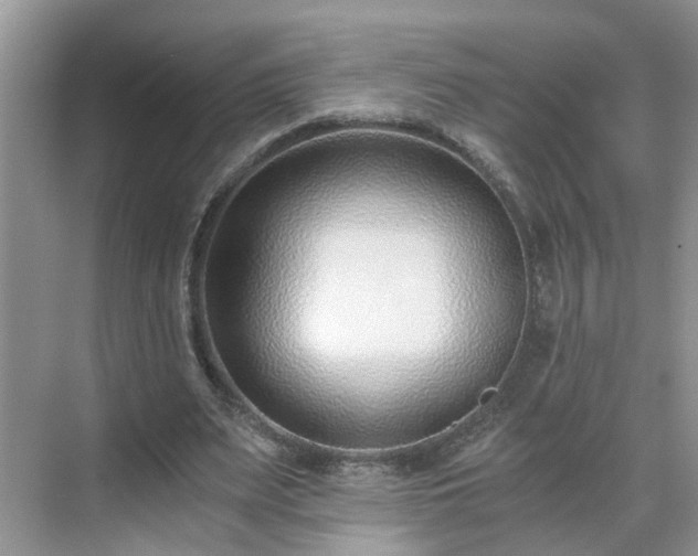 X0000071350487200606301656