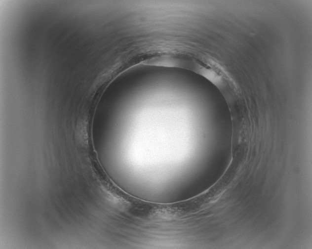 X0000071350489200606301656