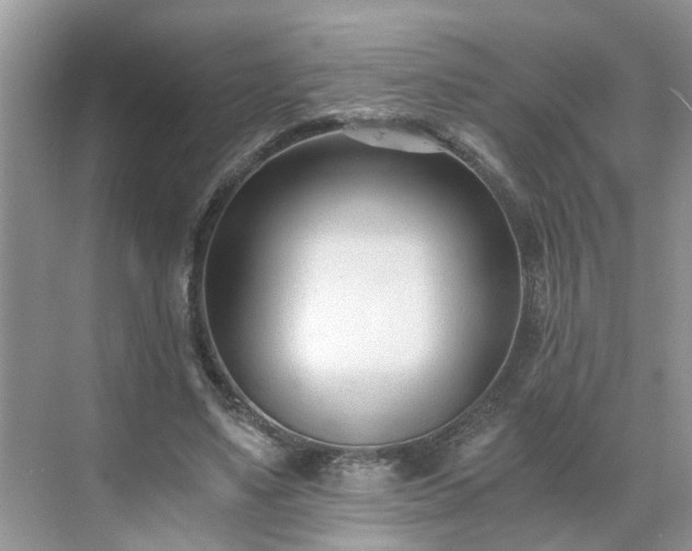 X0000071350491200606301656