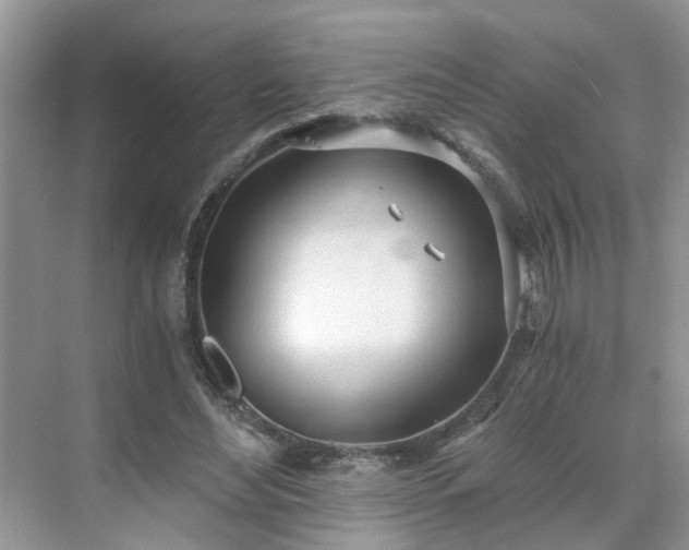 X0000071350492200606301656