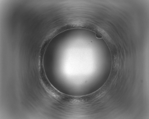 X0000071350494200606301656