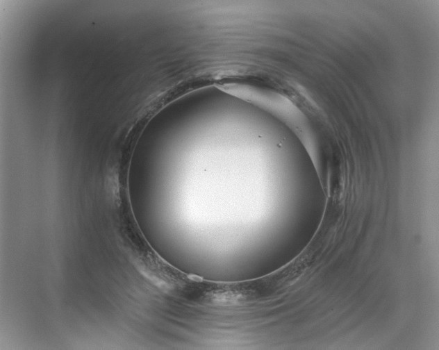 X0000071350500200606301656