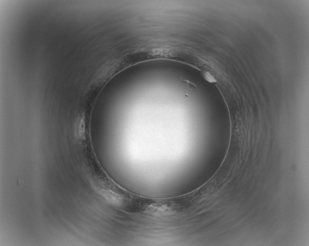 X0000071350502200606301656