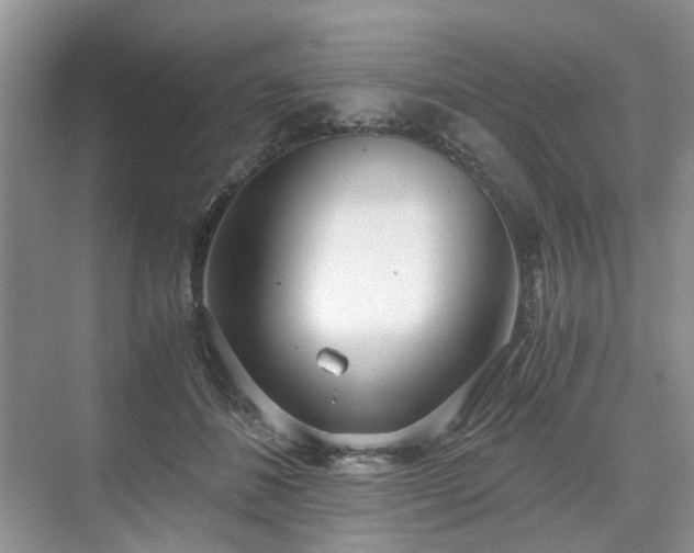 X0000071350508200606301656