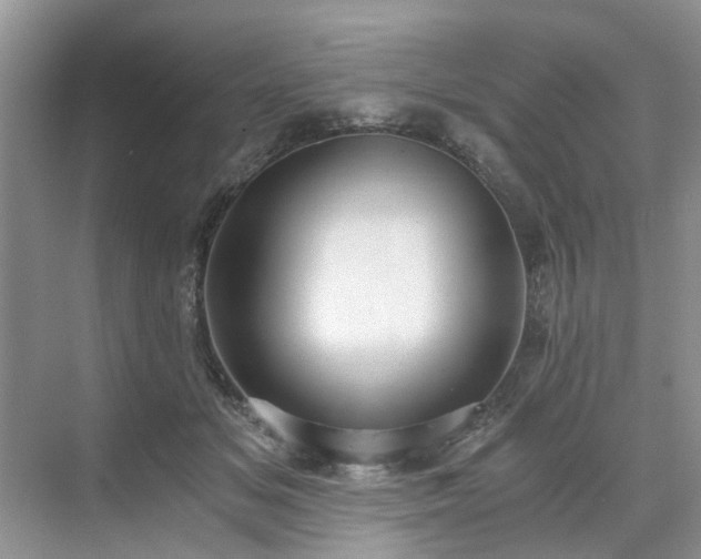 X0000071350509200606301656