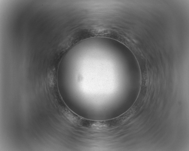 X0000071350515200606301655