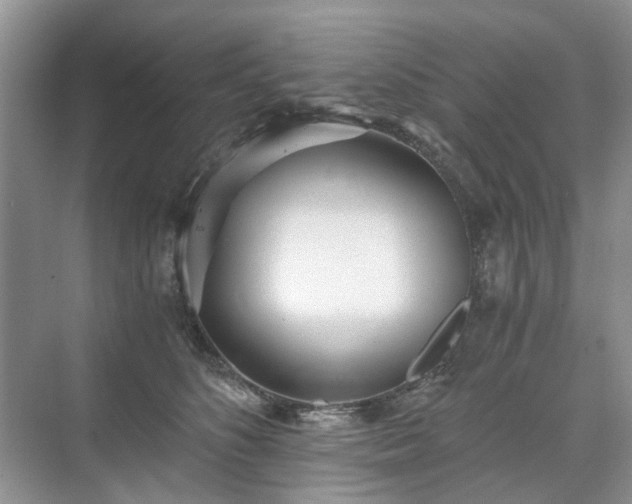 X0000071350516200606301655