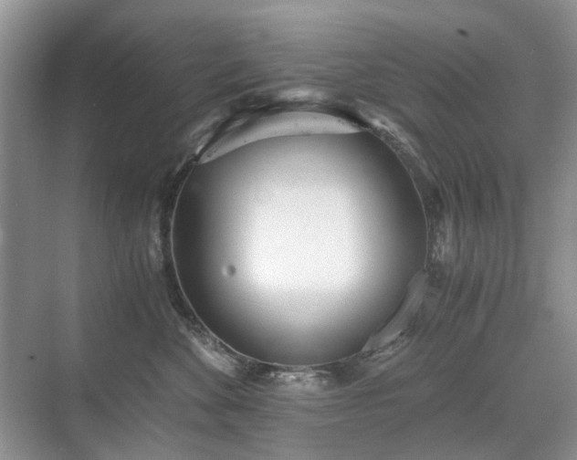 X0000071350524200606301655