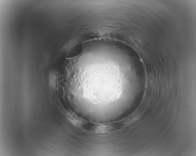 X0000071350527200606301655