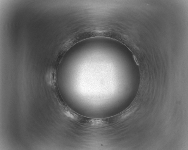 X0000071350528200606301655