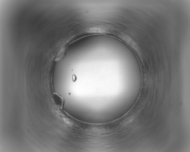 X0000071350529200606301654