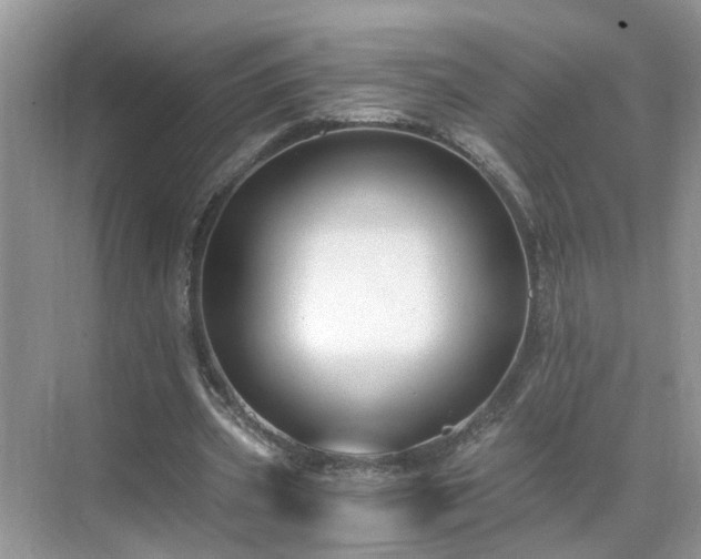 X0000071350533200606301655