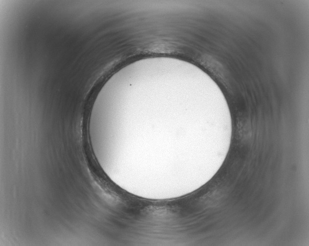 X0000071350534200606301655