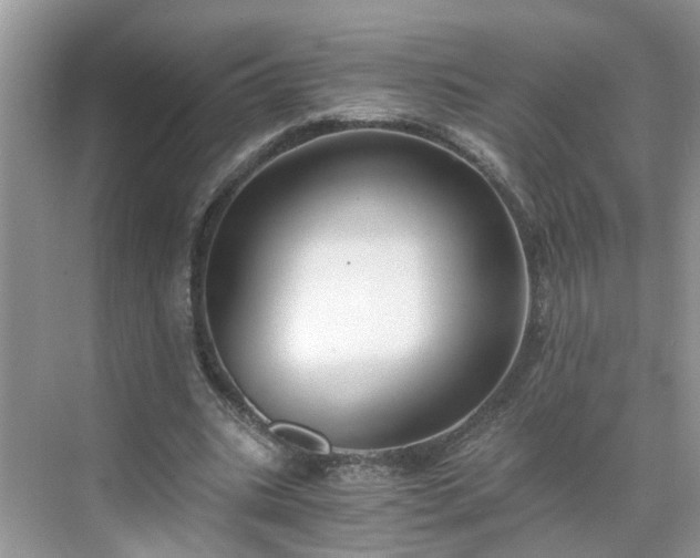 X0000071350535200606301655