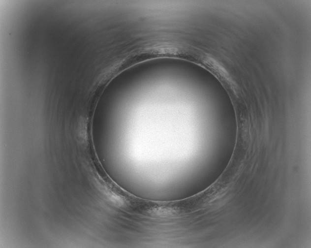 X0000071350537200606301655