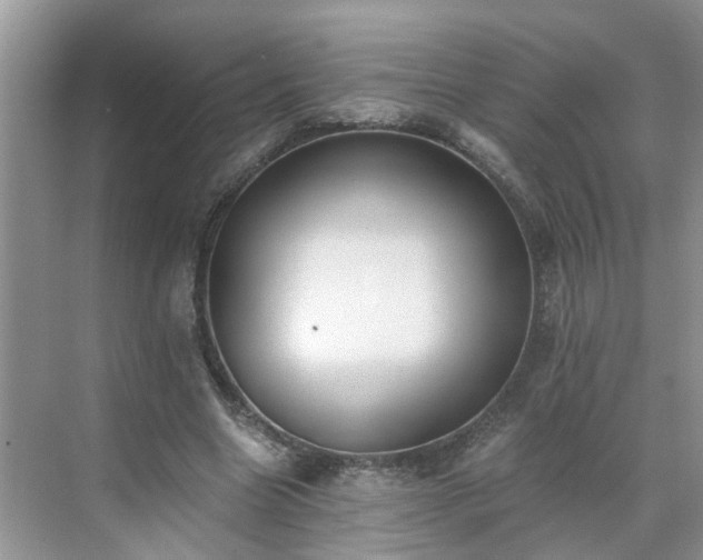 X0000071350538200606301655